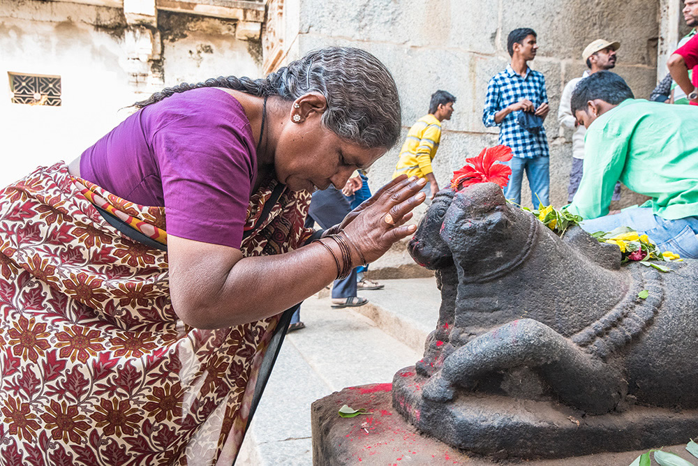 A Devotee